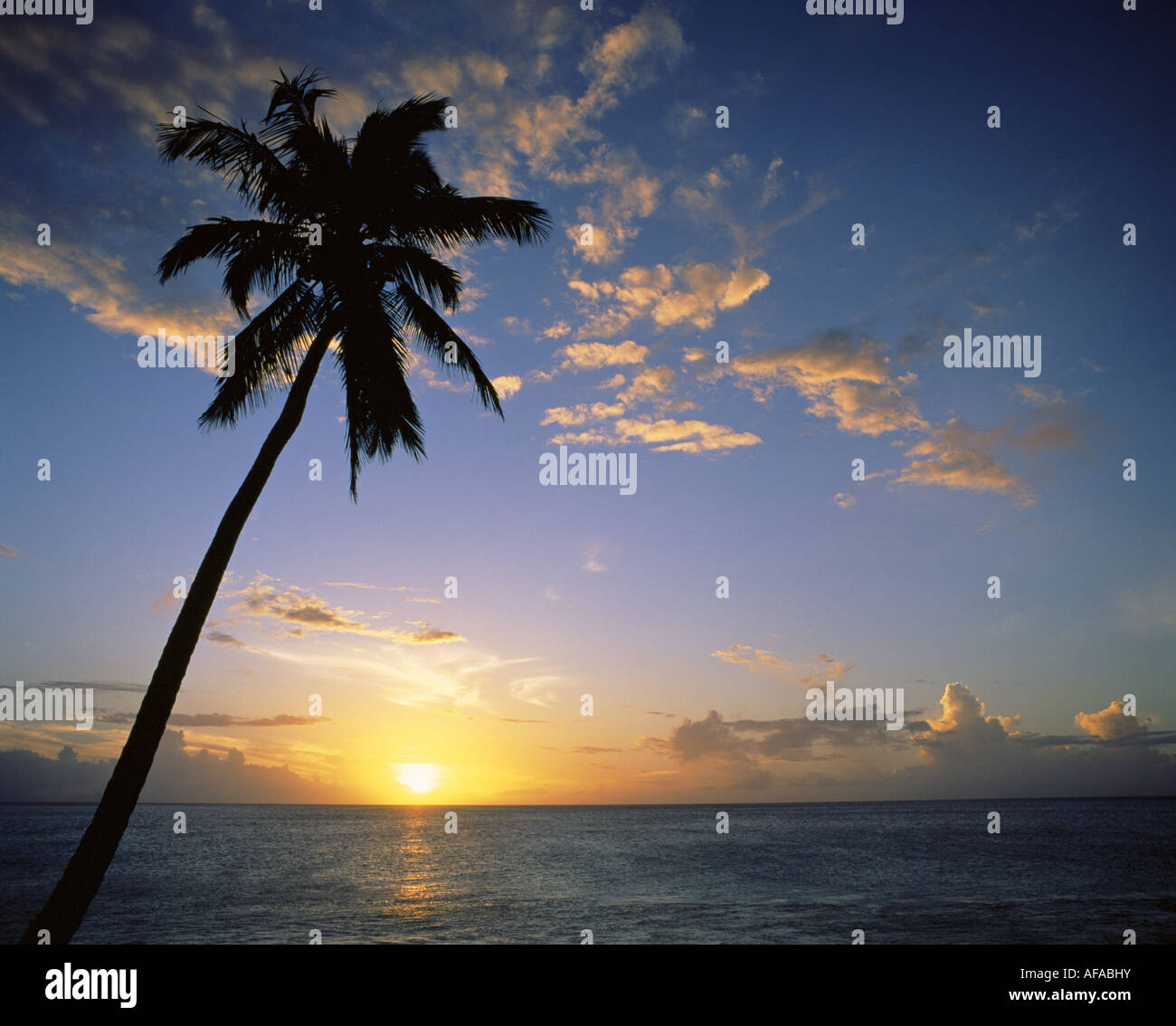 Darkwood Beach at sunset, Antigua, Antigua and Barbuda, Caribbean Stock Photo