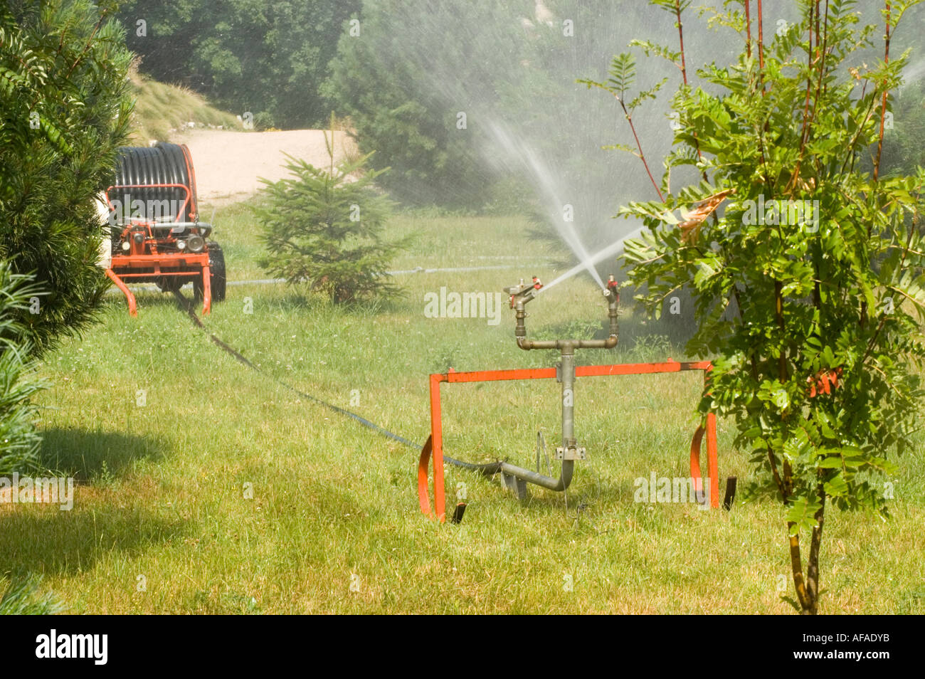 Water double sprinkler irrigating grass lawn in garden Stock Photo Alamy