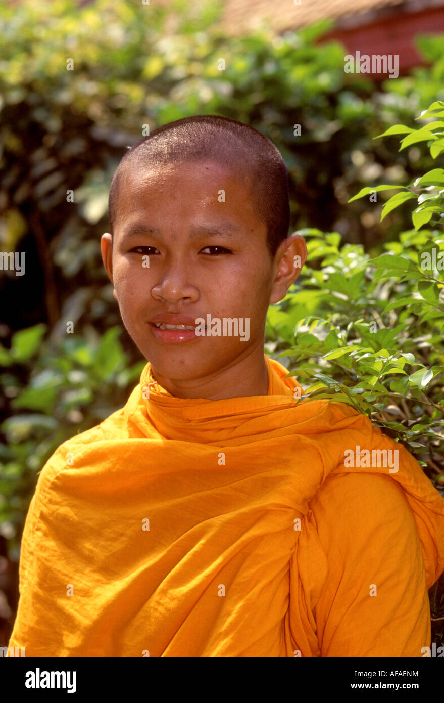 Bangkok, Buddhist Monk Stock Photo Alamy