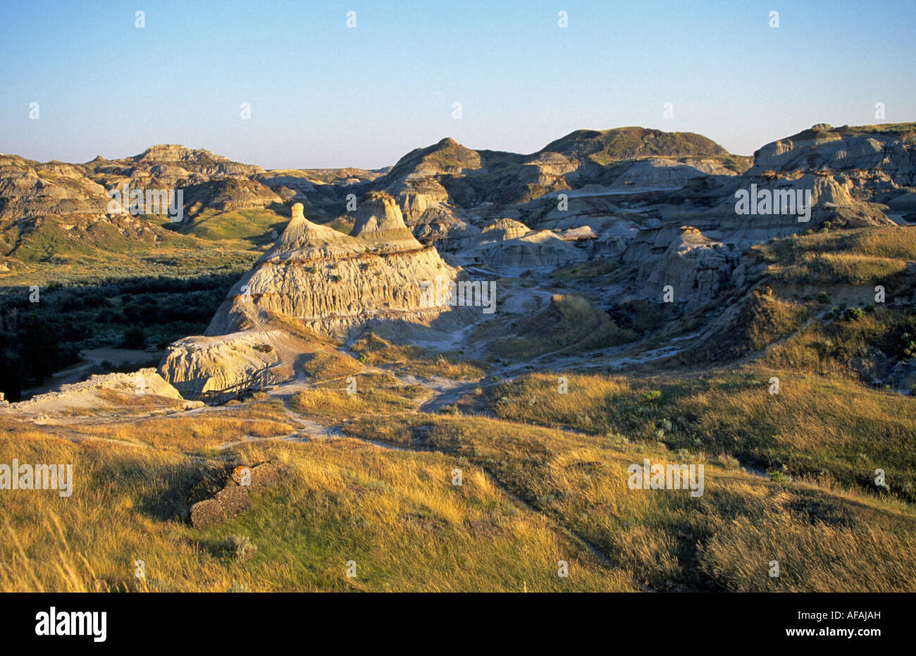 A view of the rugged and eroded desert landscape of Dinosaur Provincial Park, Alberta, Canada. Stock Photo