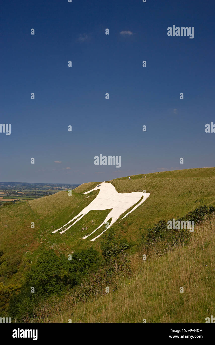 White Horse, Westbury, Wiltshire, England, UK Stock Photo Alamy