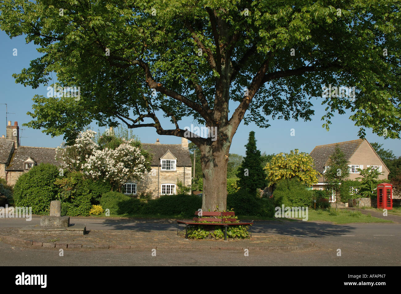 Rutland village tree uk hi-res stock photography and images - Alamy