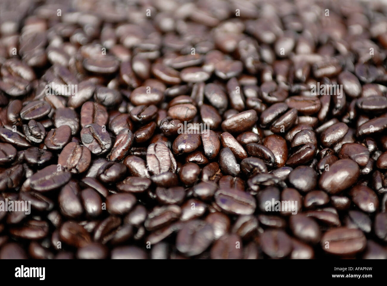 Rich dark coffee beans at Northern Ireland food Market Stock Photo Alamy