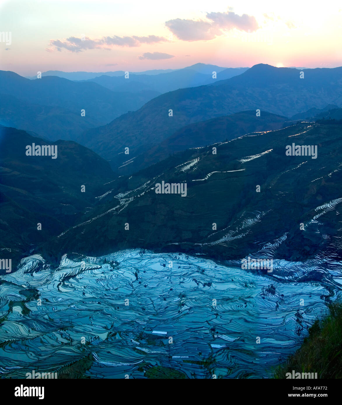 Landscape of water filled rice terraces at sunrise in the mountain ...