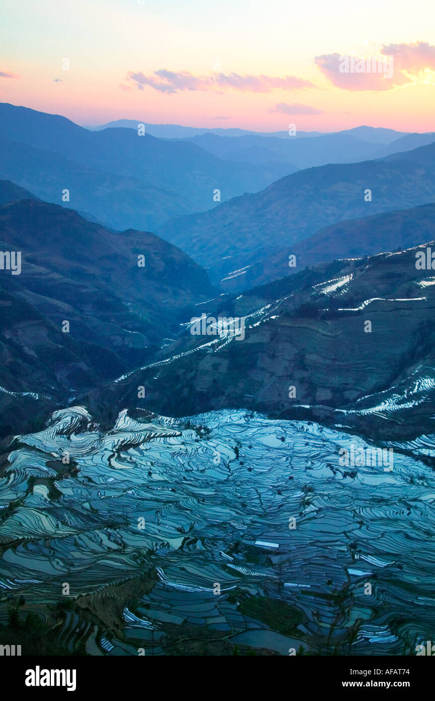 Landscape of water filled rice terraces at sunrise in the mountain ...