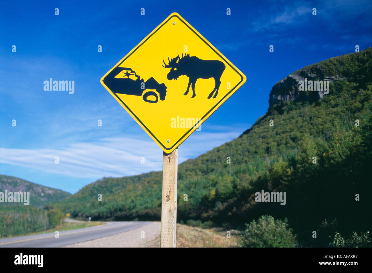 road hazard sign beware of moose Gros Morne National Park Newfoundland ...