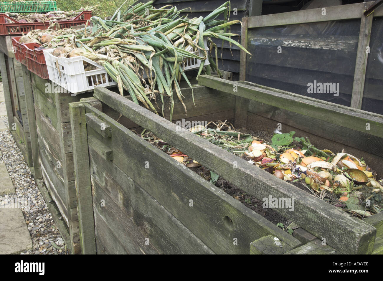 Compost heap and drying onions Stock Photo Alamy