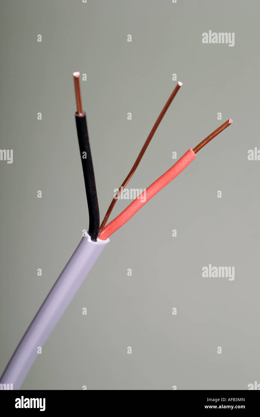 twin core and earth electrical cable wire Stock Photo Alamy twin core and earth electrical cable wire Stock Photo Alamy