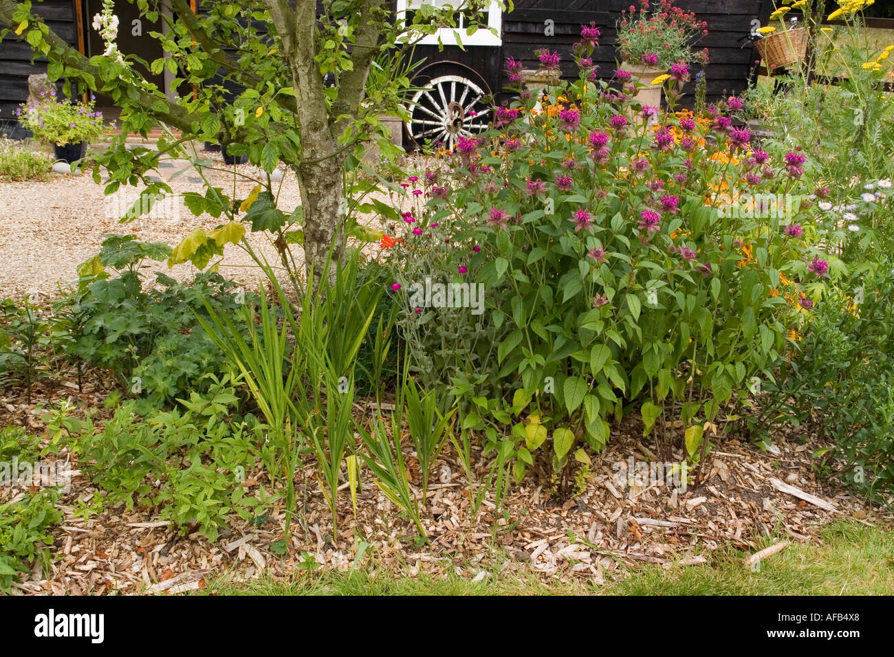 wood chip mulch used in flowerbed Stock Photo