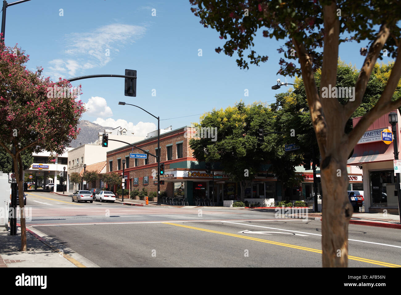 San Fernando Blvd. Street Sign with Trees Burbank San Fernando Valley