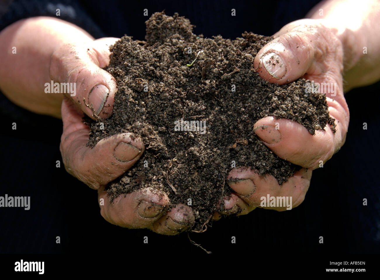 Fertility soil hi-res stock photography and images - Alamy
