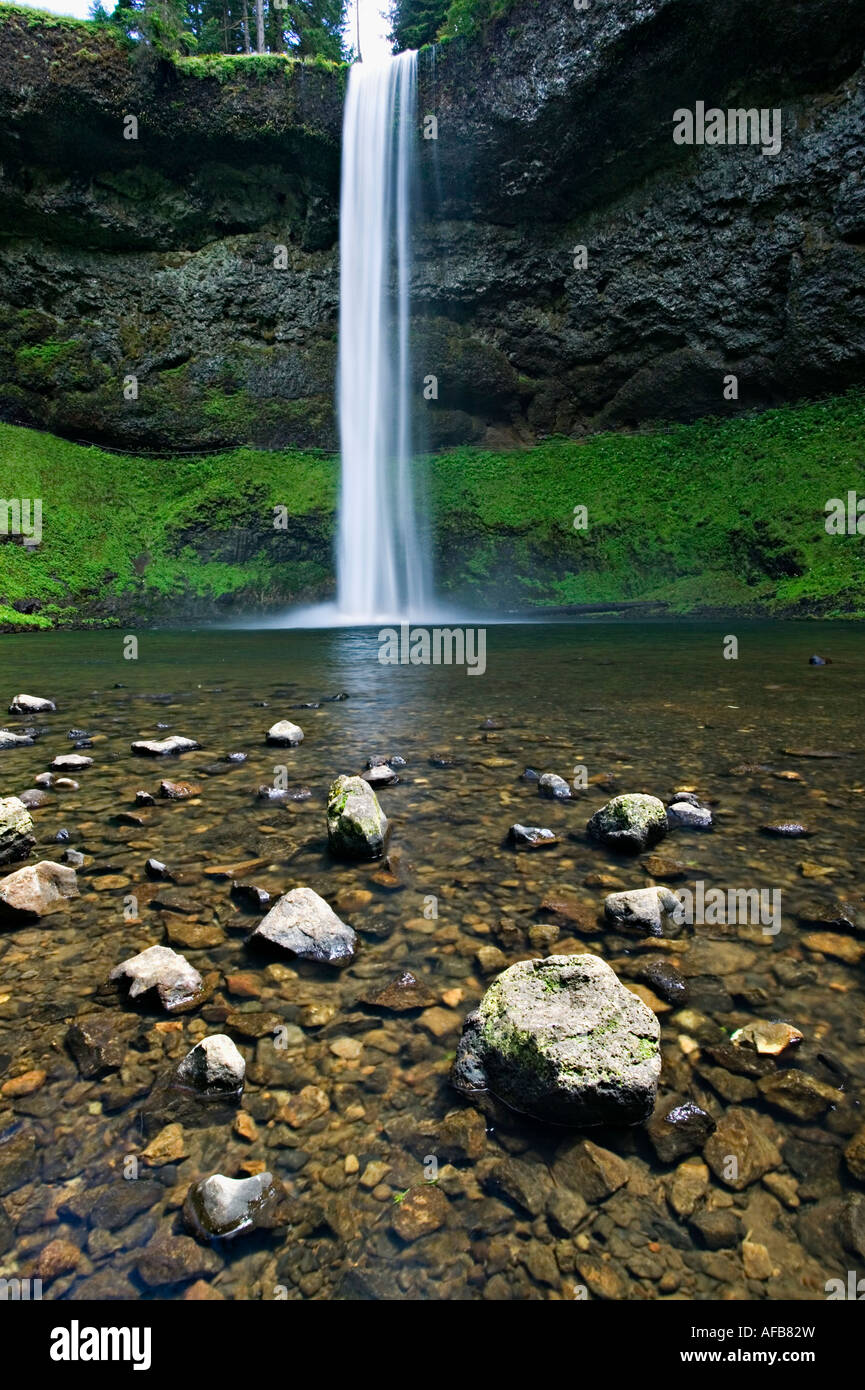 Silver Falls State Park Stock Photo - Silver Falls State Park AFB82W 