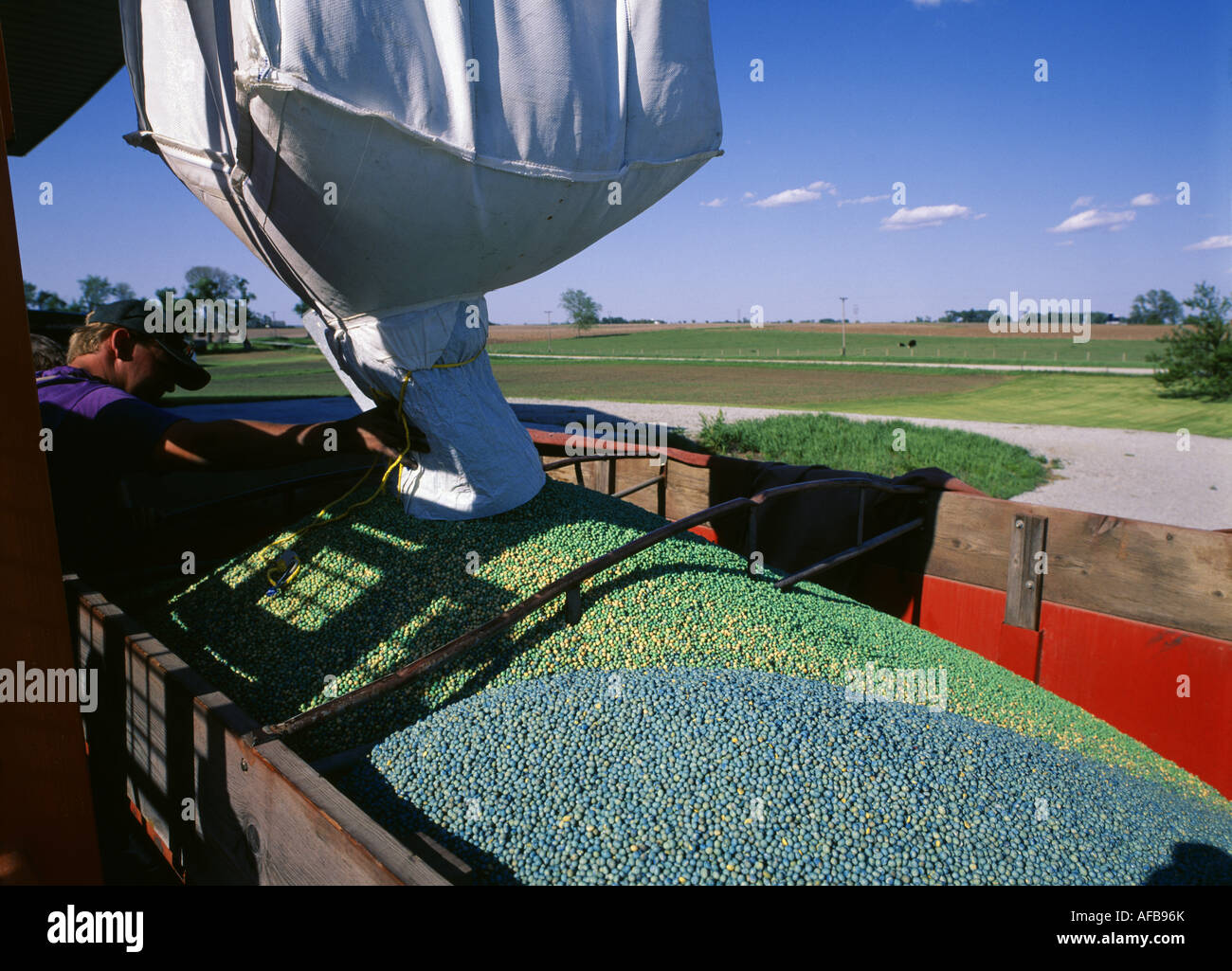 CLOSE UP OF SOYBEANS BEING LOADED INTO A FIELD WAGON FROM BULK SOYBEAN