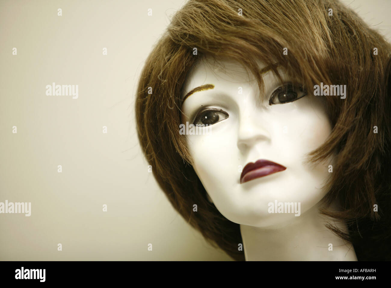 Mane Concept 18 Female Life Size Mannequin Head for Wigs, Hats, Jewelry  Display