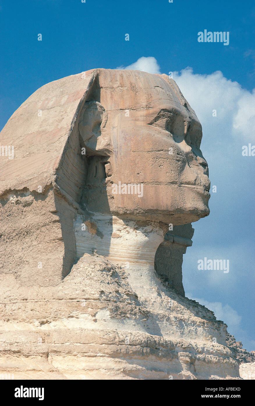 The Close up portrait of the Sphinx Giza near Cairo Egypt Stock Photo