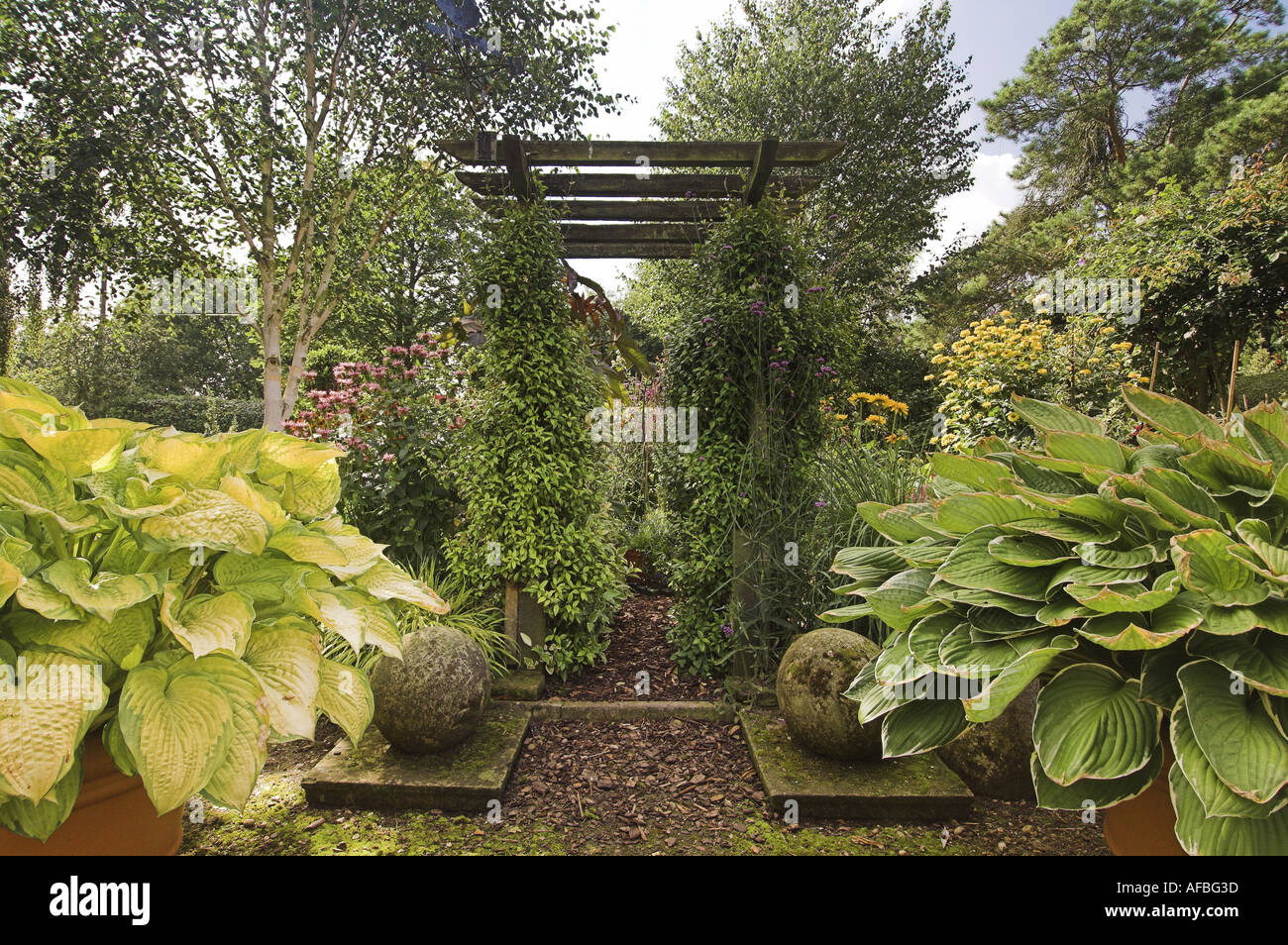 garden pergola with climbers and stone features Stock Photo