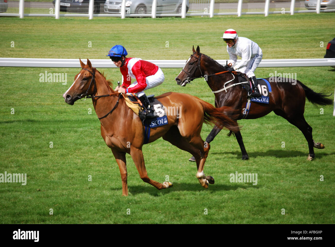 Horses Racing Down Straight, Royal Ascot Meeting, Ascot Racecourse, Ascot, Berkshire, England, United Kingdom Stock Photo