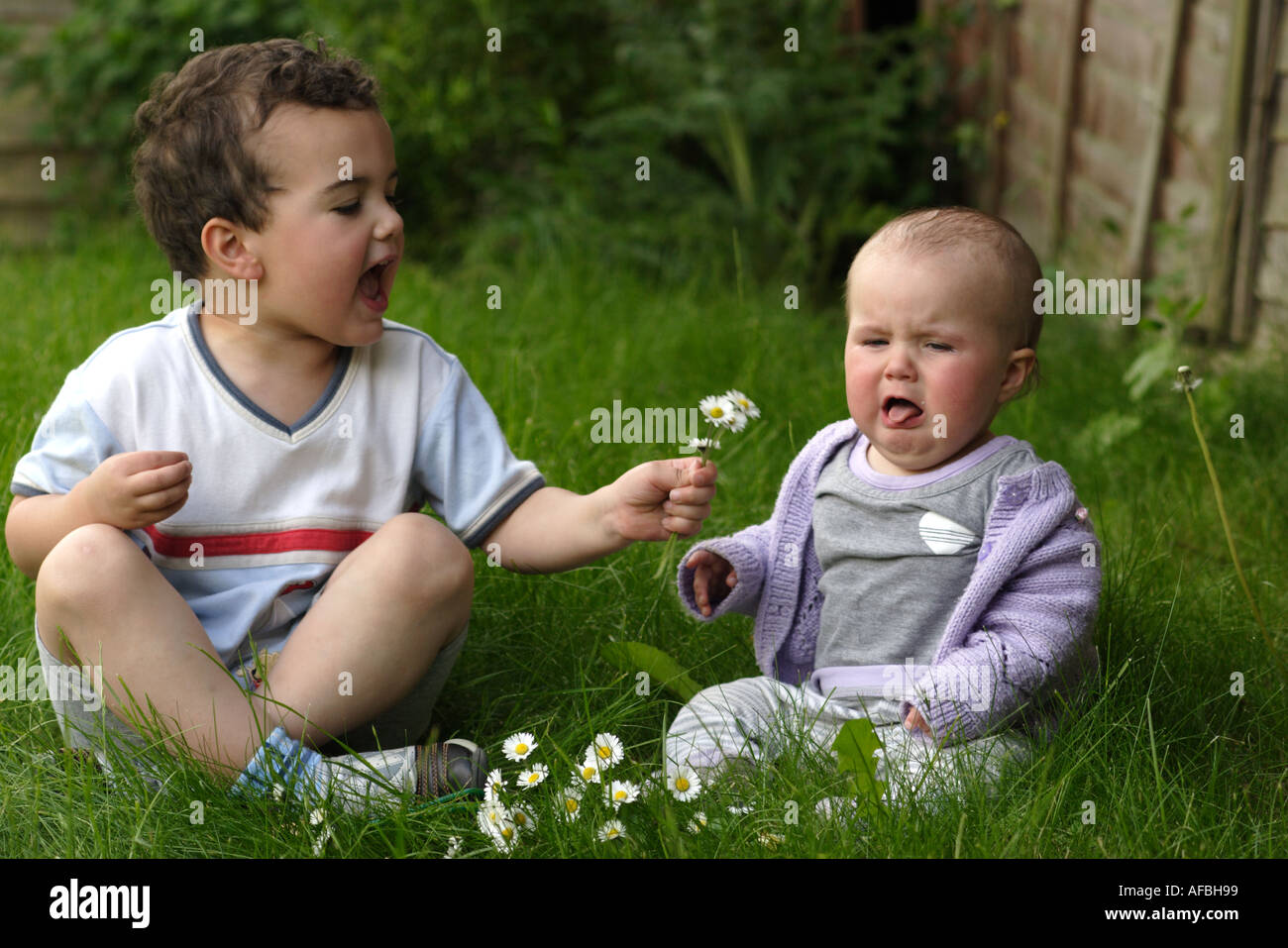 Little girl doesn't like her brother's gift of garden flowers Stock Photo