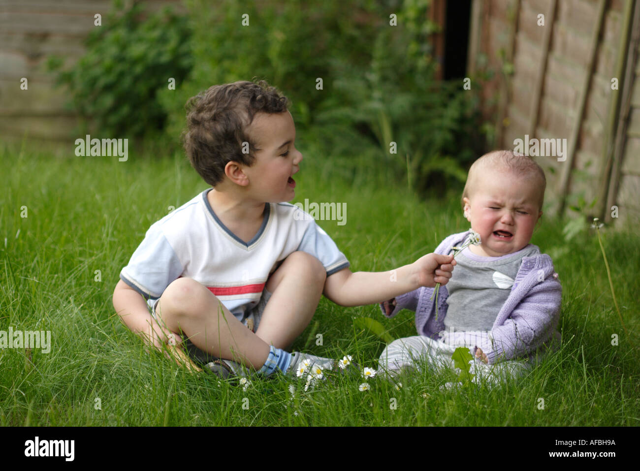 Little girl doesn't like her brother's gift of garden flowers Stock Photo