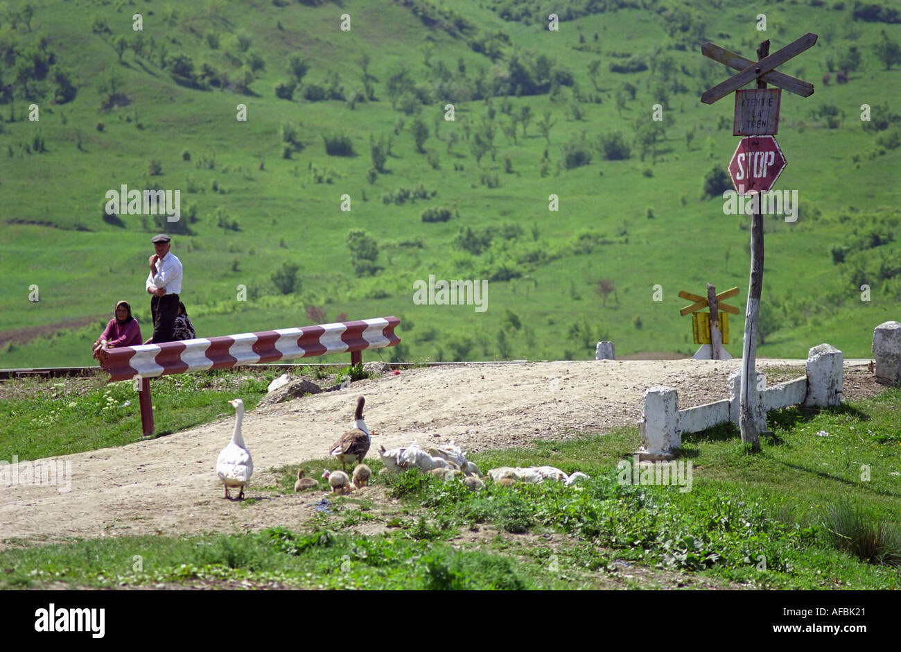Countryside railroad crossing at romanian countryside in Zece Prajini Stock Photo