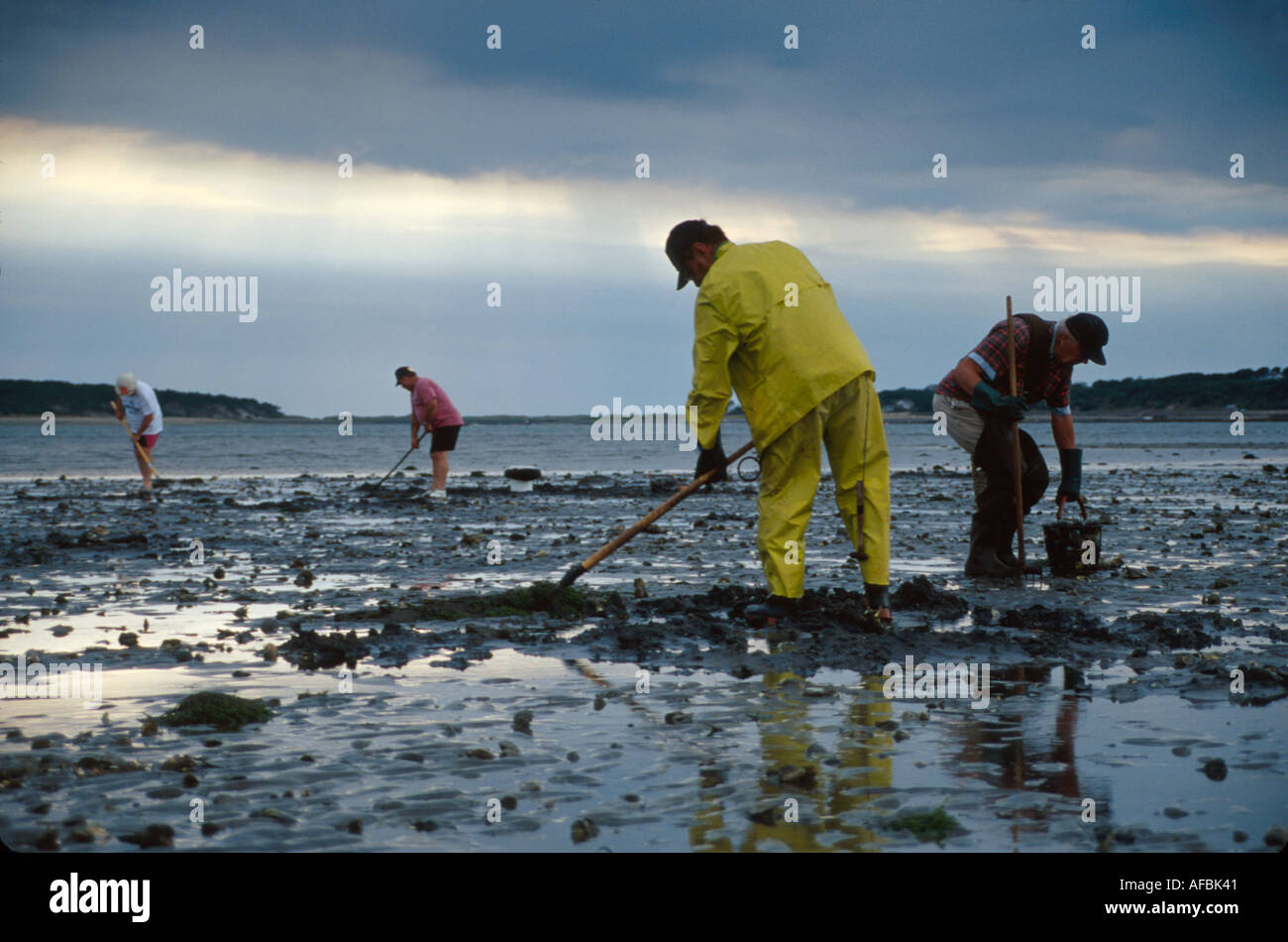 Wellfleet indian neck beach beaches hires stock photography and images