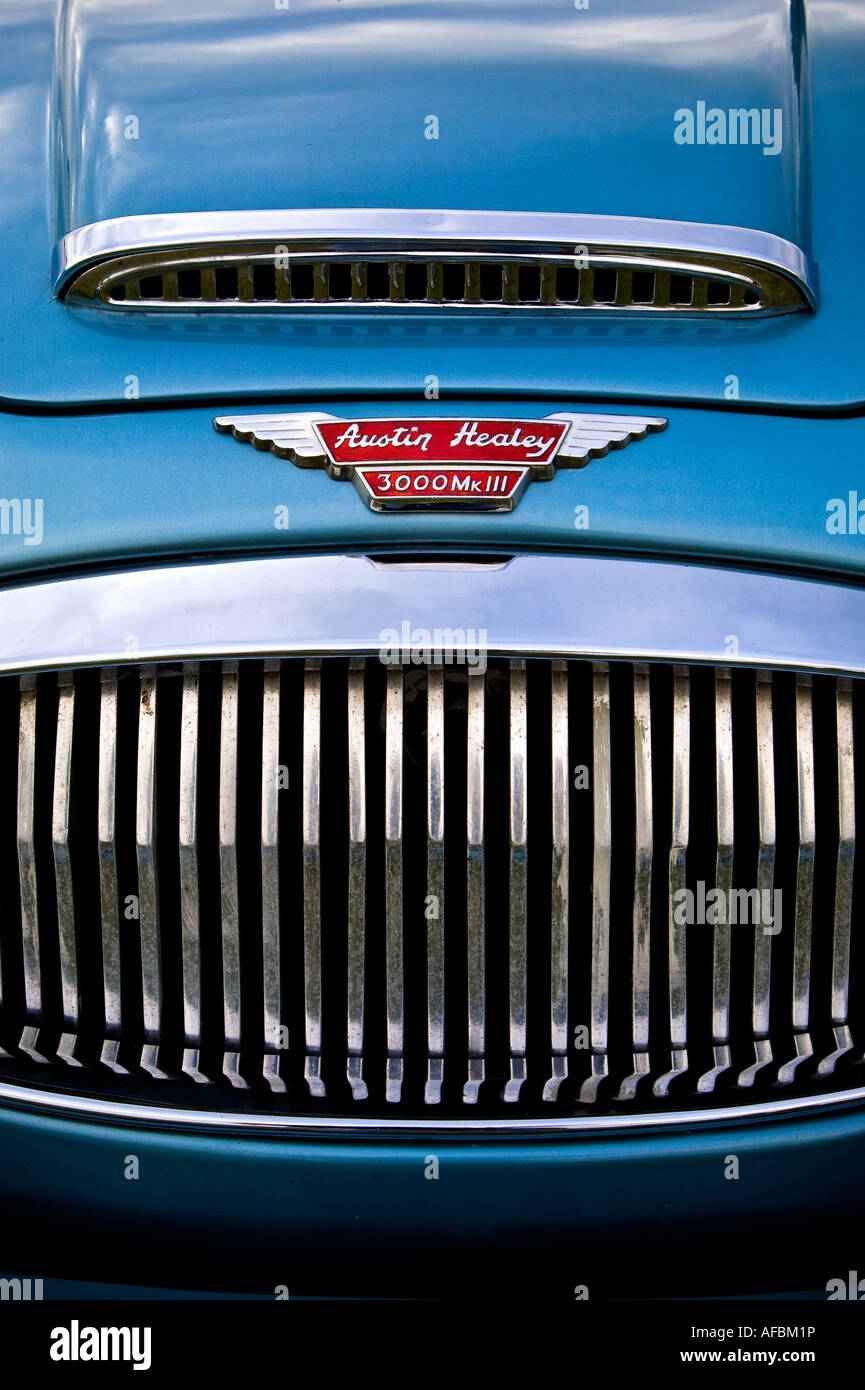 A close up of an immaculate Austin Healey 3000 Mk111. Goodwood Revival ...