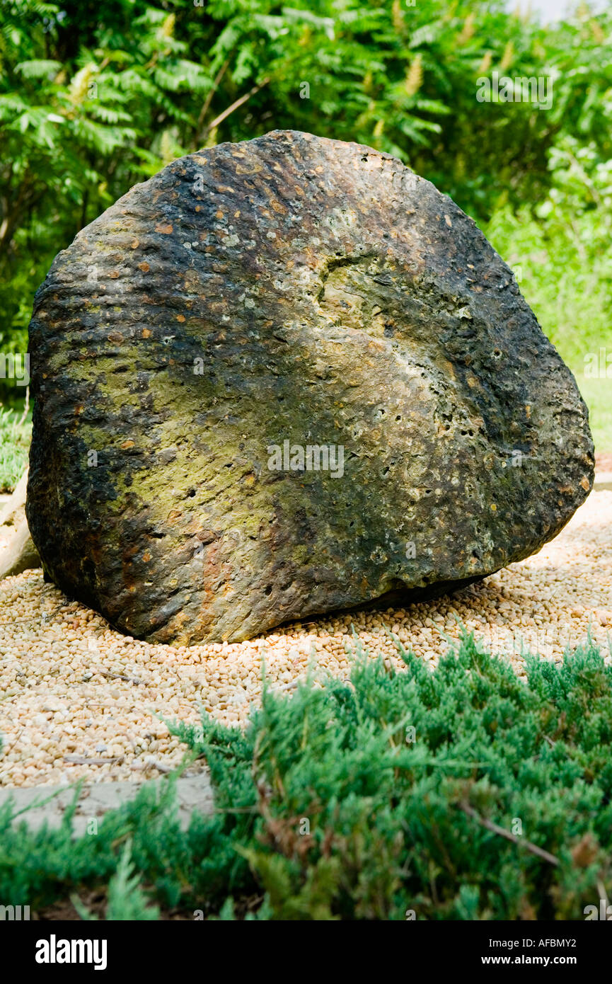 Gilboa fossils hires stock photography and images Alamy