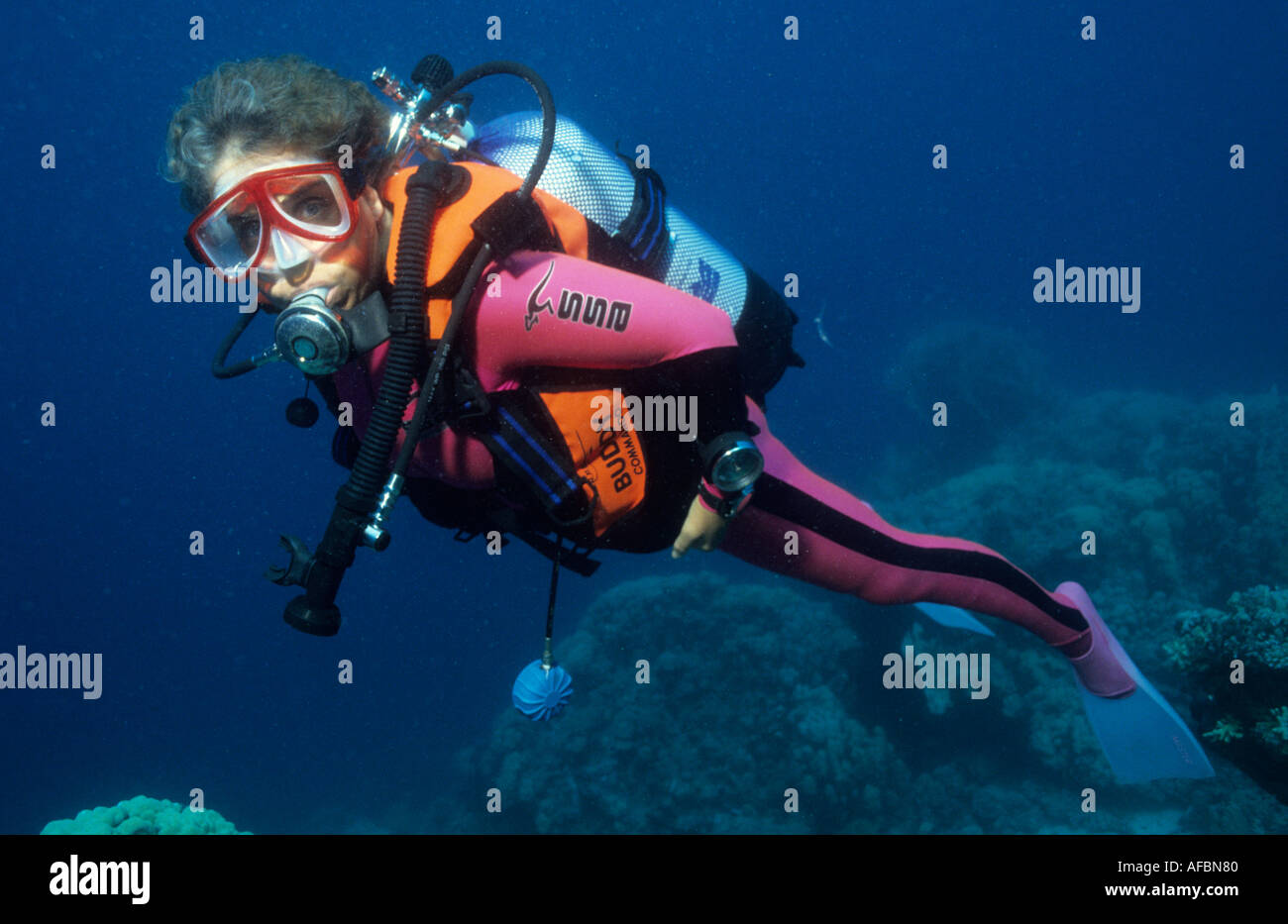 Diver Babs Jackson wearing modern diving equipment The fins mask Lycra suit and buoyancy compensator device BCD can be colour co Stock Photo