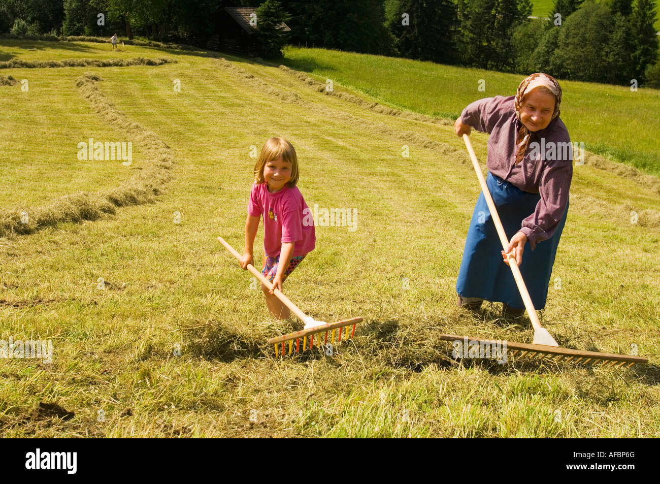 Austria, Salzburger Land, hay harvest Stock Photo - Alamy