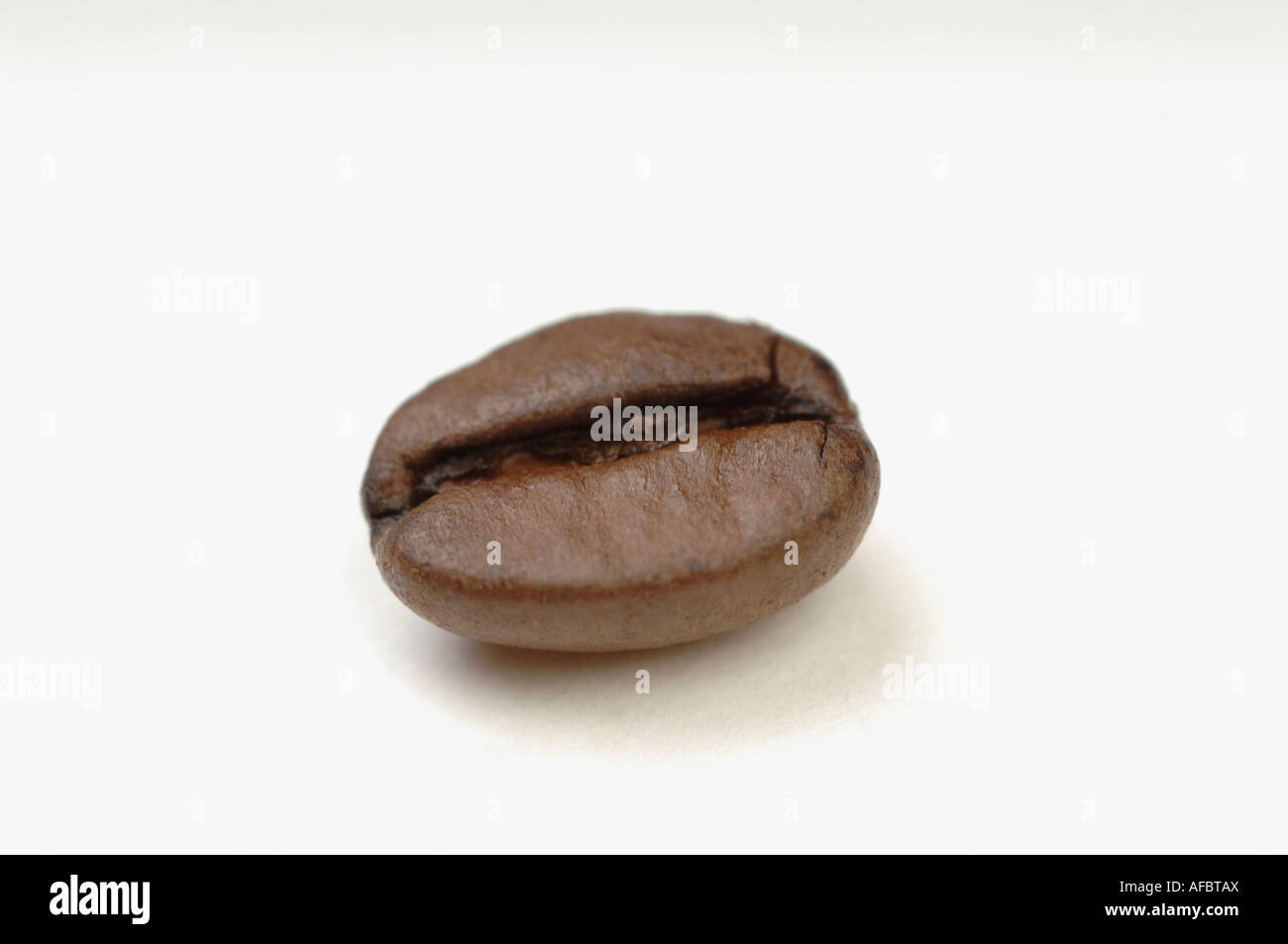 One coffee bean, closeup Stock Photo Alamy