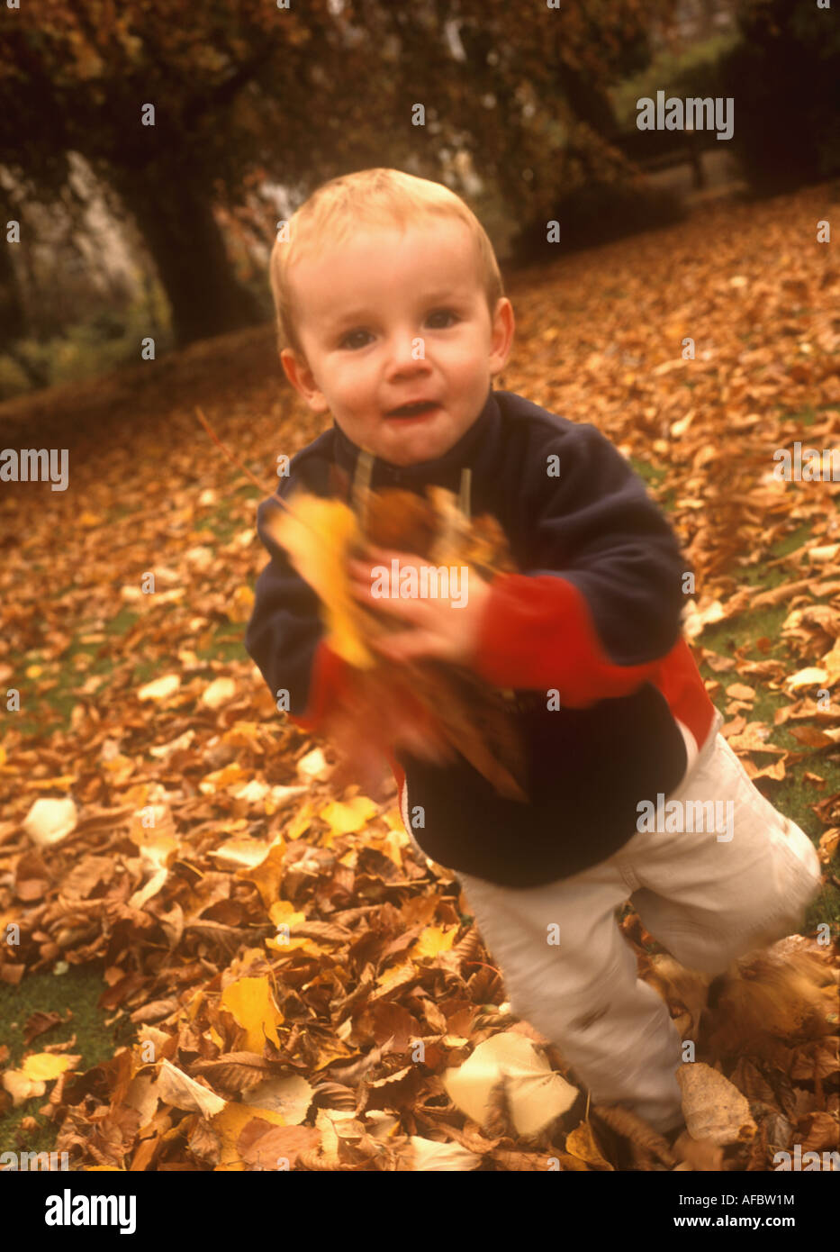 Young boy playing with autumn leaves Stock Photo - Alamy