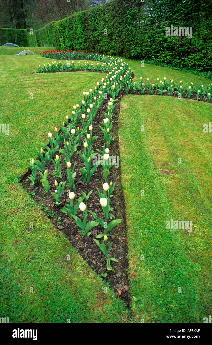 Tulip flower bed Jardins d Annevoie water gardens Belgium Stock Photo