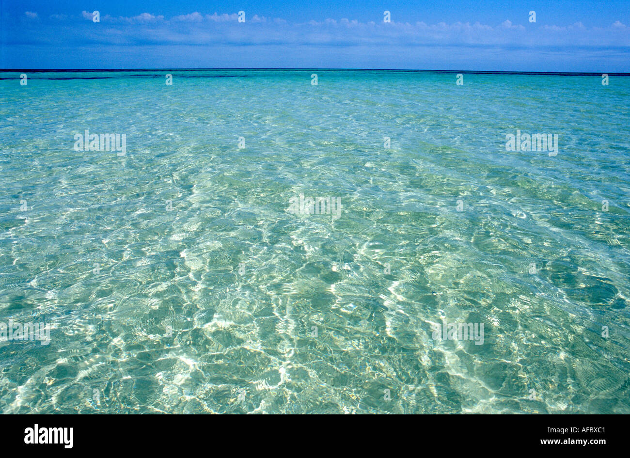 Translucent tropical waters shimmer over white sand Bahia Honda State Park Florida Keys Florida Stock Photo