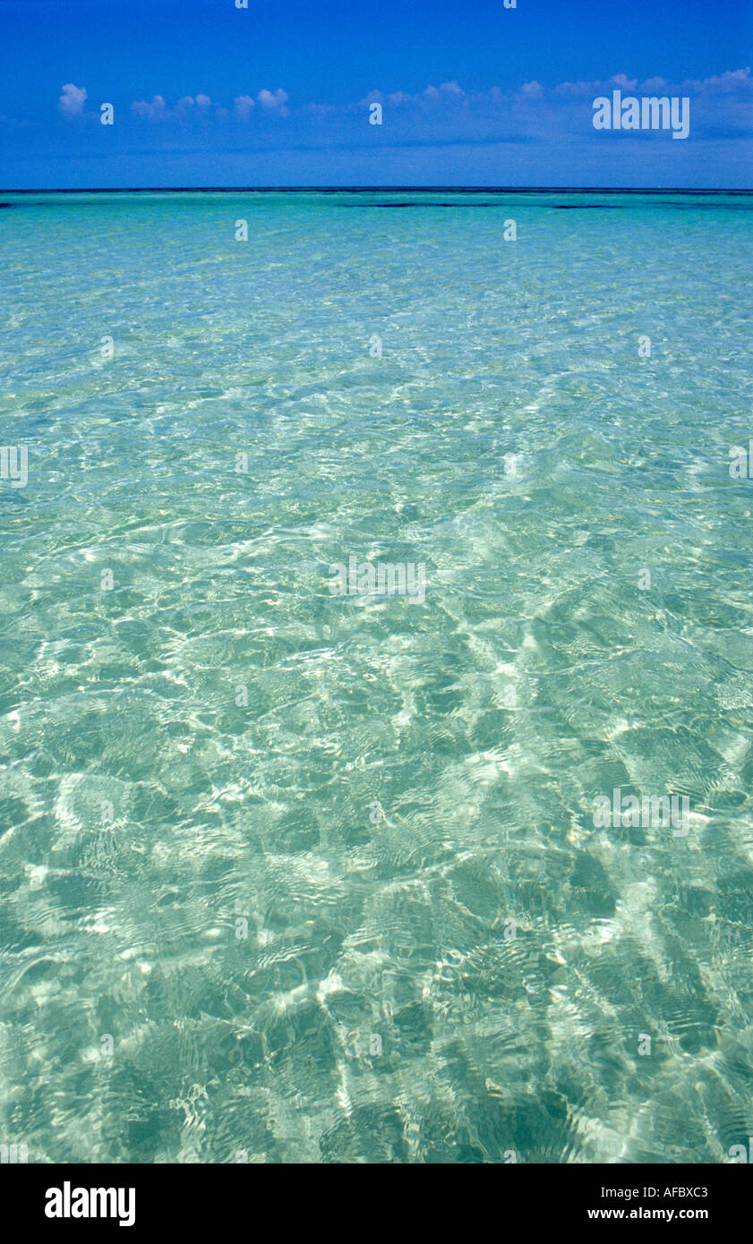 Translucent tropical waters shimmer over white sand Bahia Honda State Park Florida Keys Florida Stock Photo
