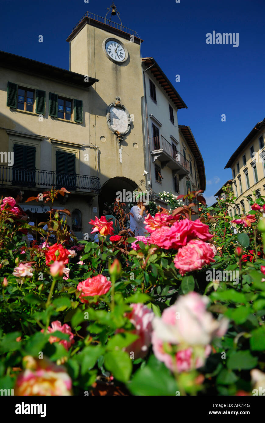 Rose Festival Piazza Pierozzi in San Casciano in Val di Pesa Tuscany Italy Stock Photo