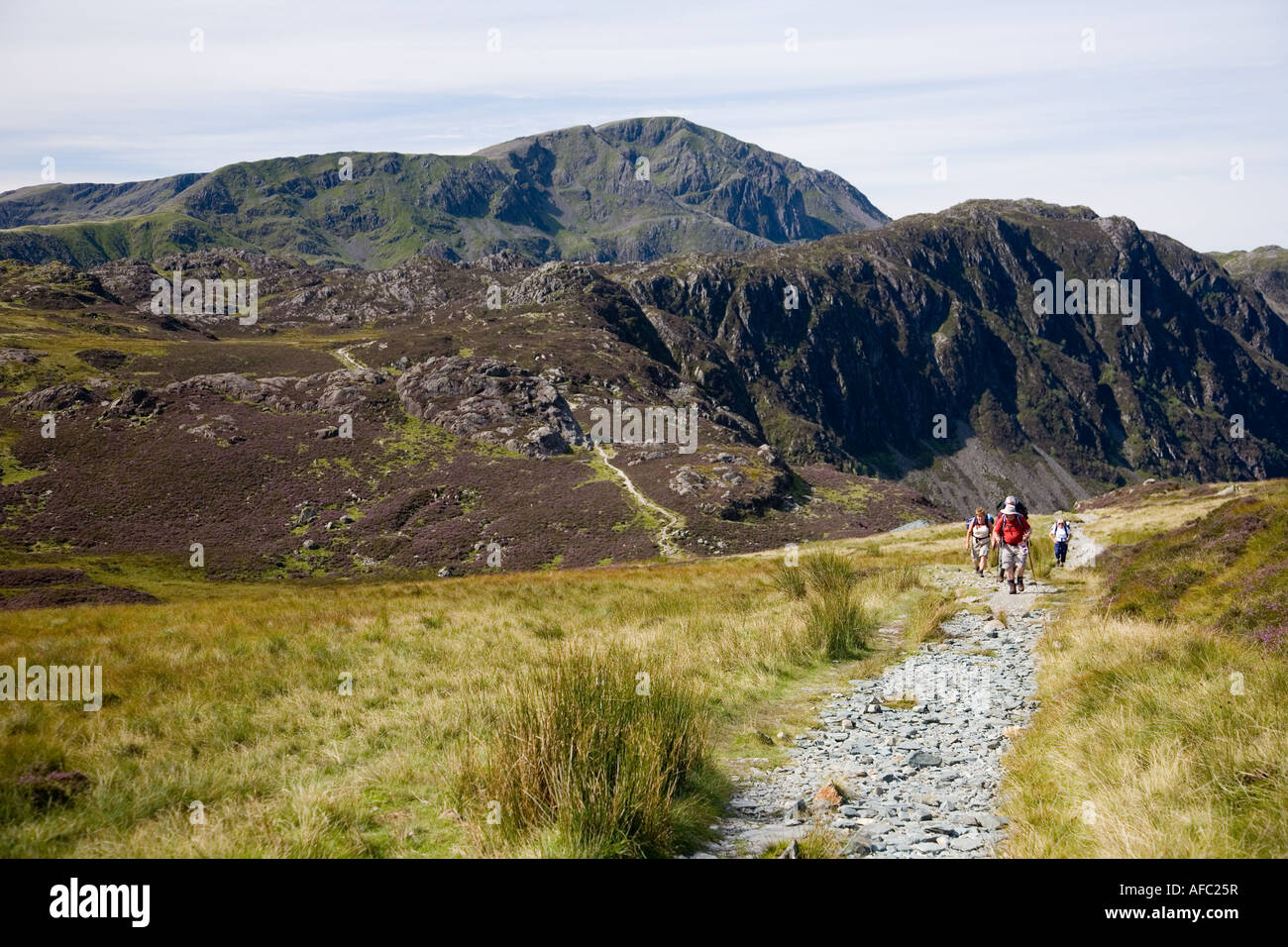 Hay fell hi-res stock photography and images - Alamy