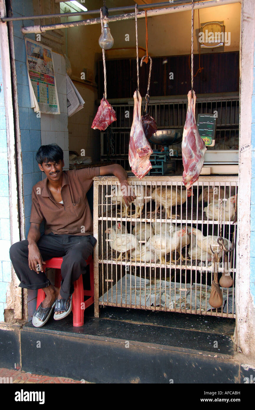 Chicken india alive hires stock photography and images Alamy