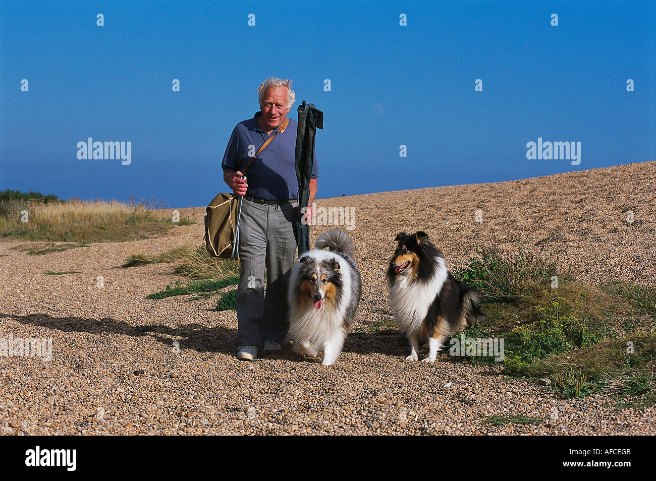 Fisherman and dogs, Chesil Beach, Dorset England Stock Photo Alamy