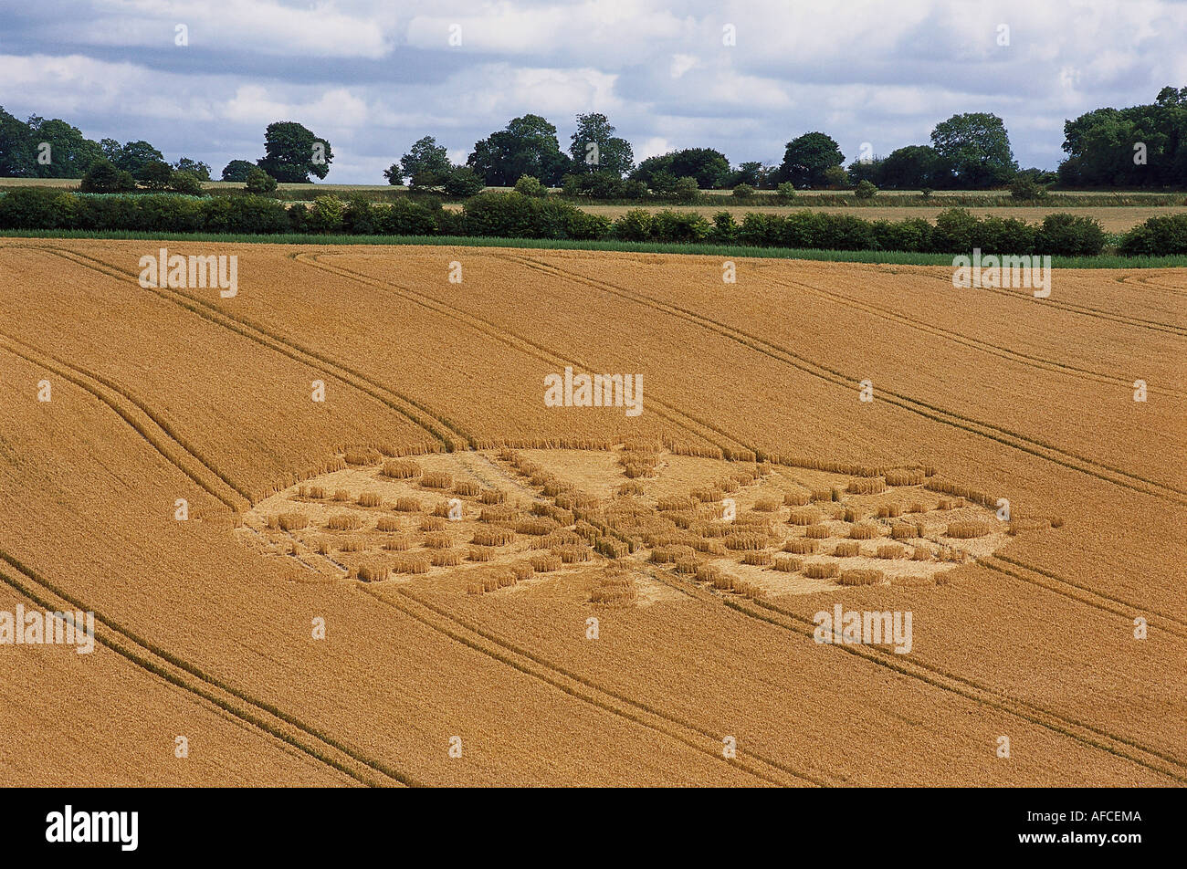 Crop Circle in a cornfield, Near Alton Barnes, Wiltshire, England, Great Britain Stock Photo