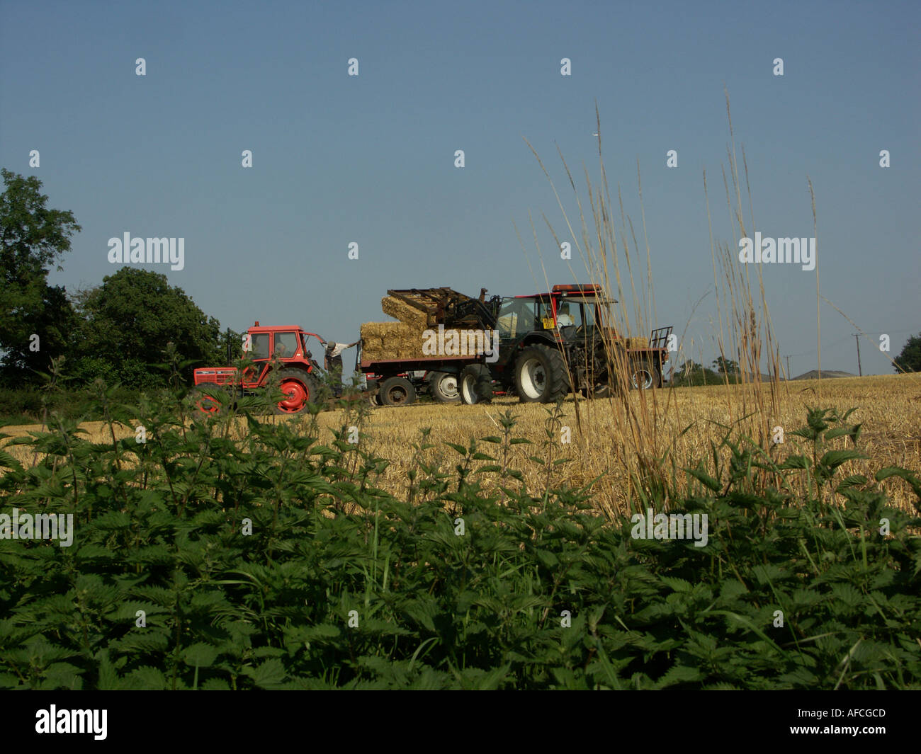 A tractor and trailer being loaded up with bales of hay or straw. Stock Photo