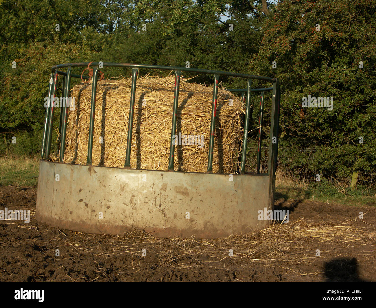 This Round Bale Hay Feeder Saved My Barn Learn From My Mistake - 66rc3q7