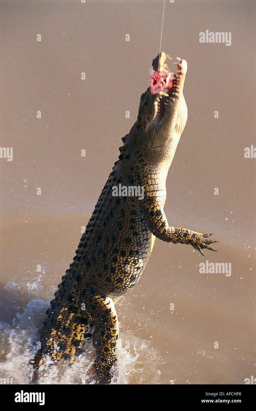 Au nt hi-res stock photography and images - Alamy