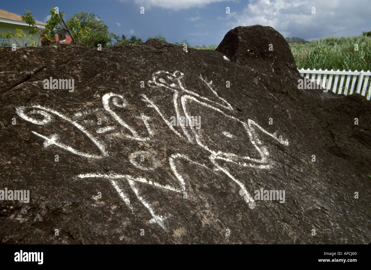 St. Kitts,Nevis,West Indies,Leeward Islands,Caribbean Sea,water,Lesser