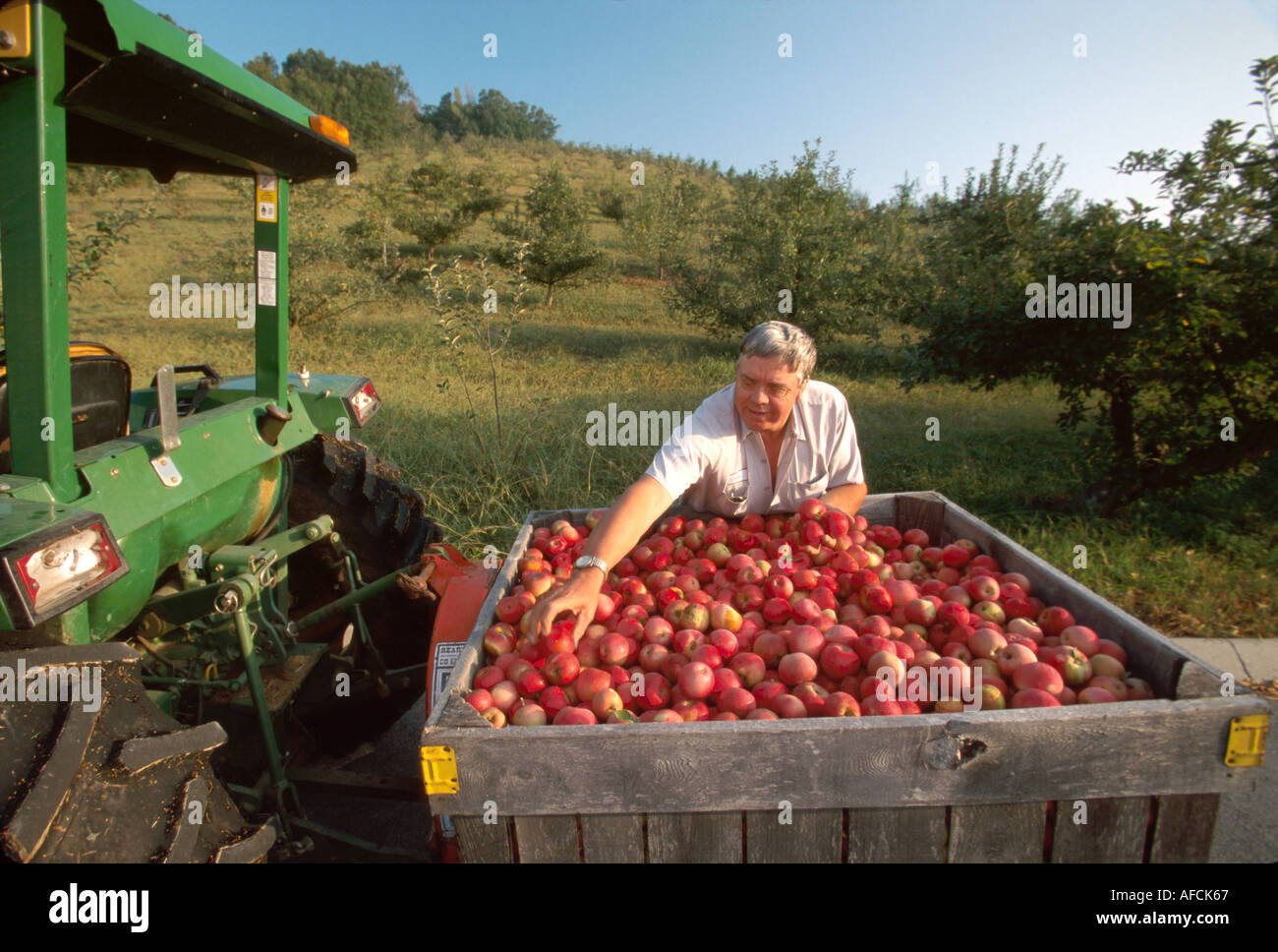 Sevierville Tennessee,Apple Barn orchard winesap apples 18 bushel bin TN018,visitors travel