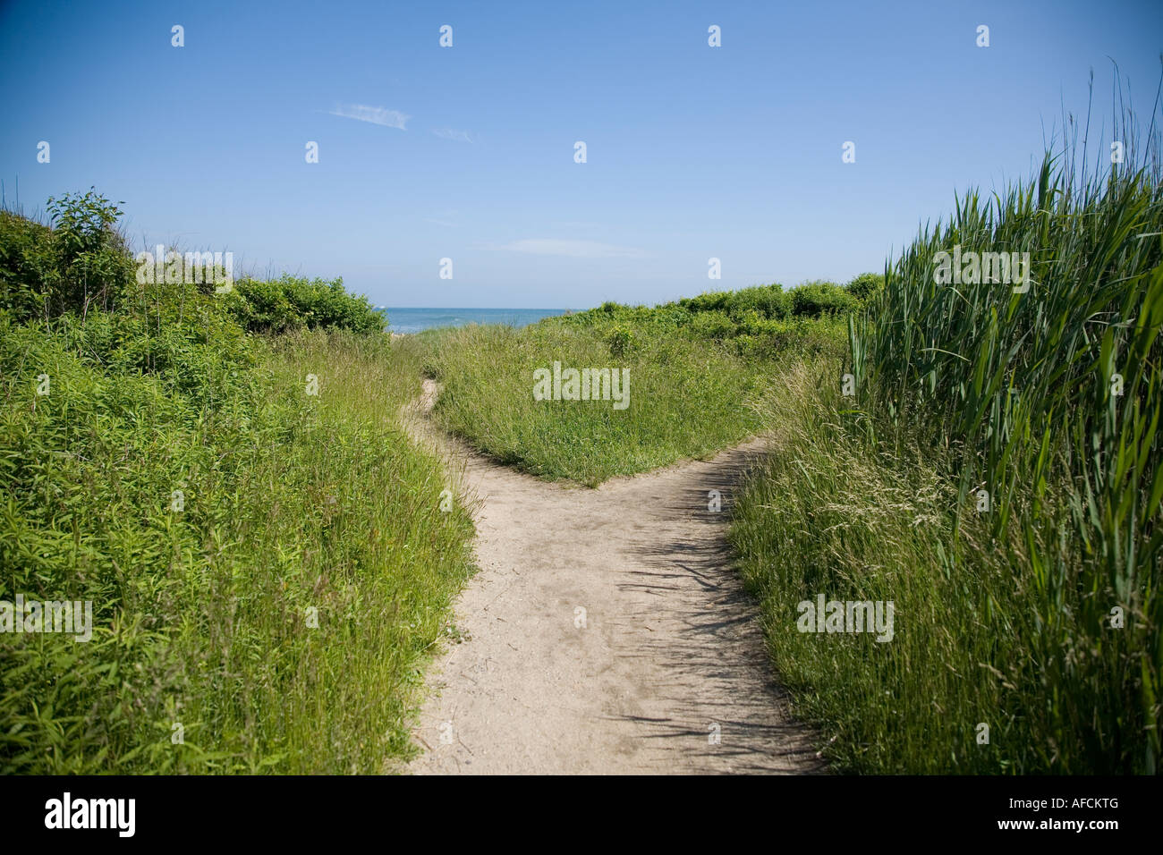 Dirt Path to Ocean Stock Photo