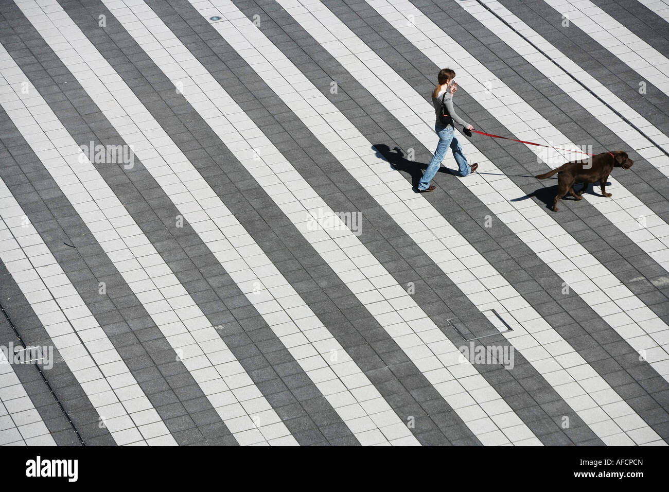 Lonesome woman is walking her dog over a crosswalk at Munich Airport,Frau mit Hund geht ueber einen grossen Zebrastreifen, Stock Photo