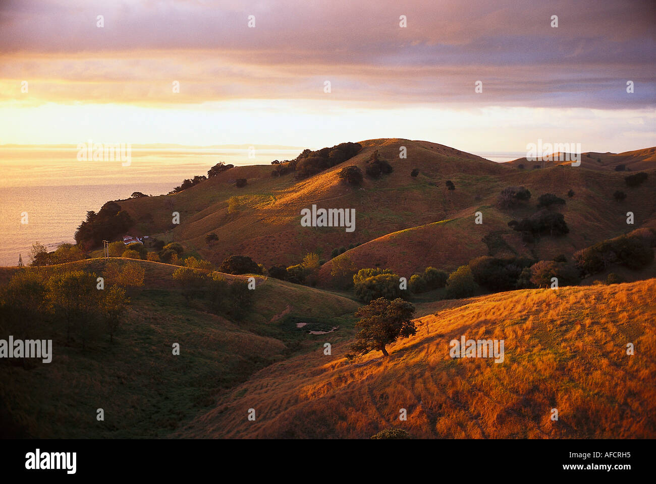 Hills at Sunset near Manaia, Coromandel Peninsula, North Island New