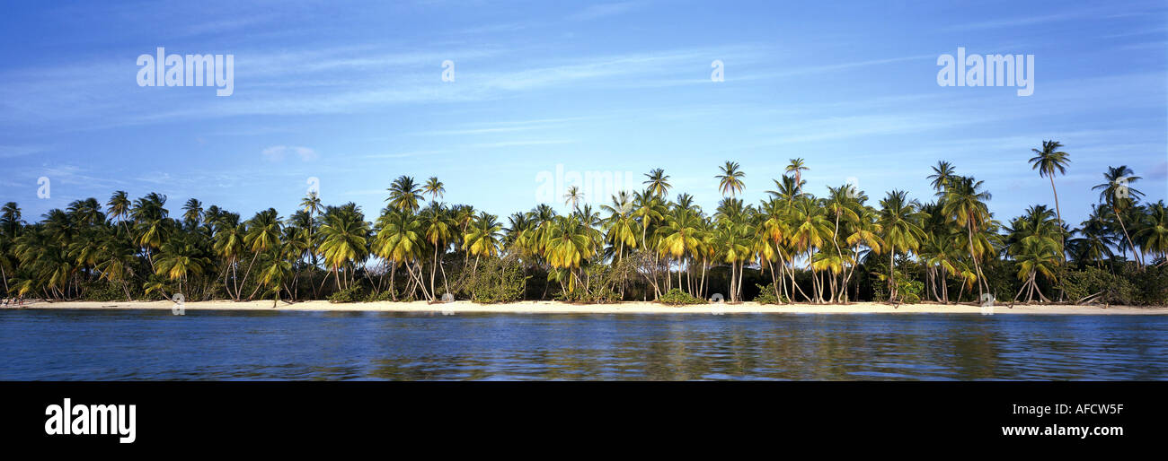 ÜF, Geografie, Trinidad und Tobago, Landschaften, Strände, Palmenstrand auf Insel Tobago, Pidgeon Point, Amerika, Panorama, Pano Stock Photo