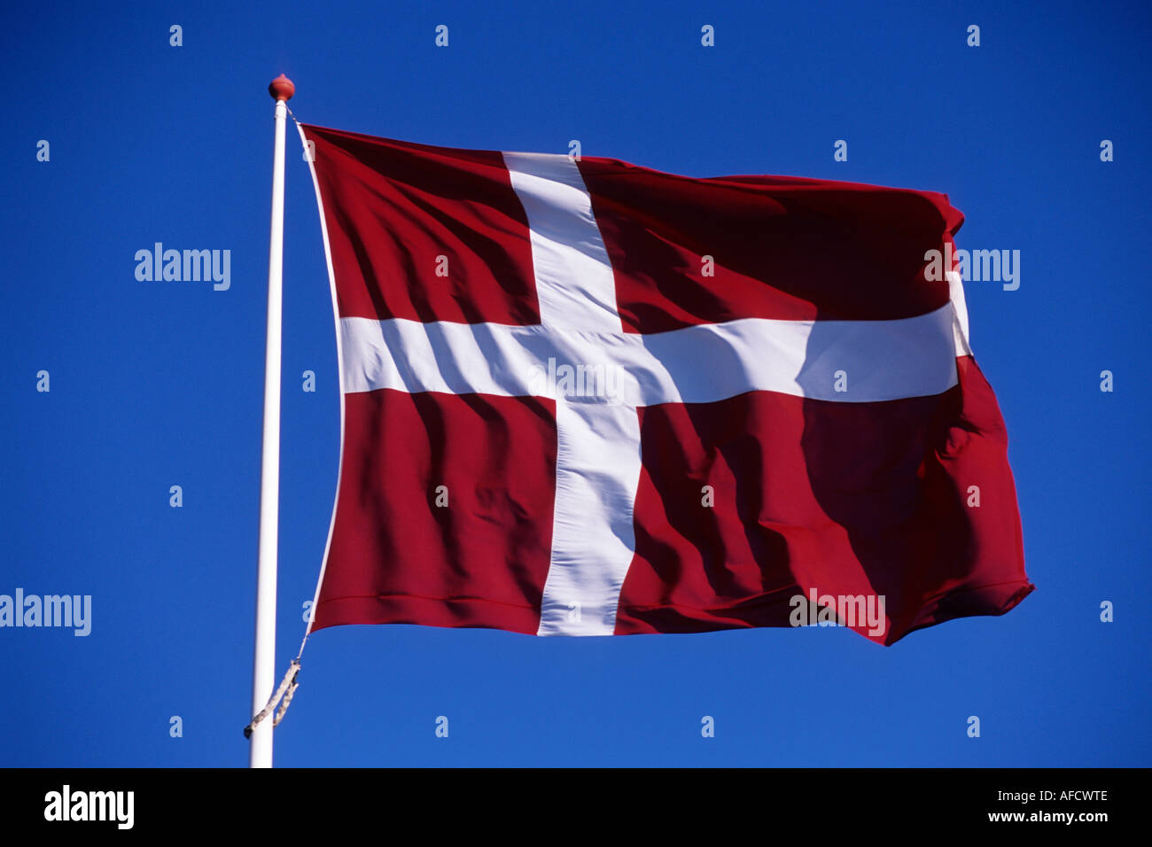 Dannebrog Danish Flag, Near Ribe, Southern Jutland, Denmark Stock Photo