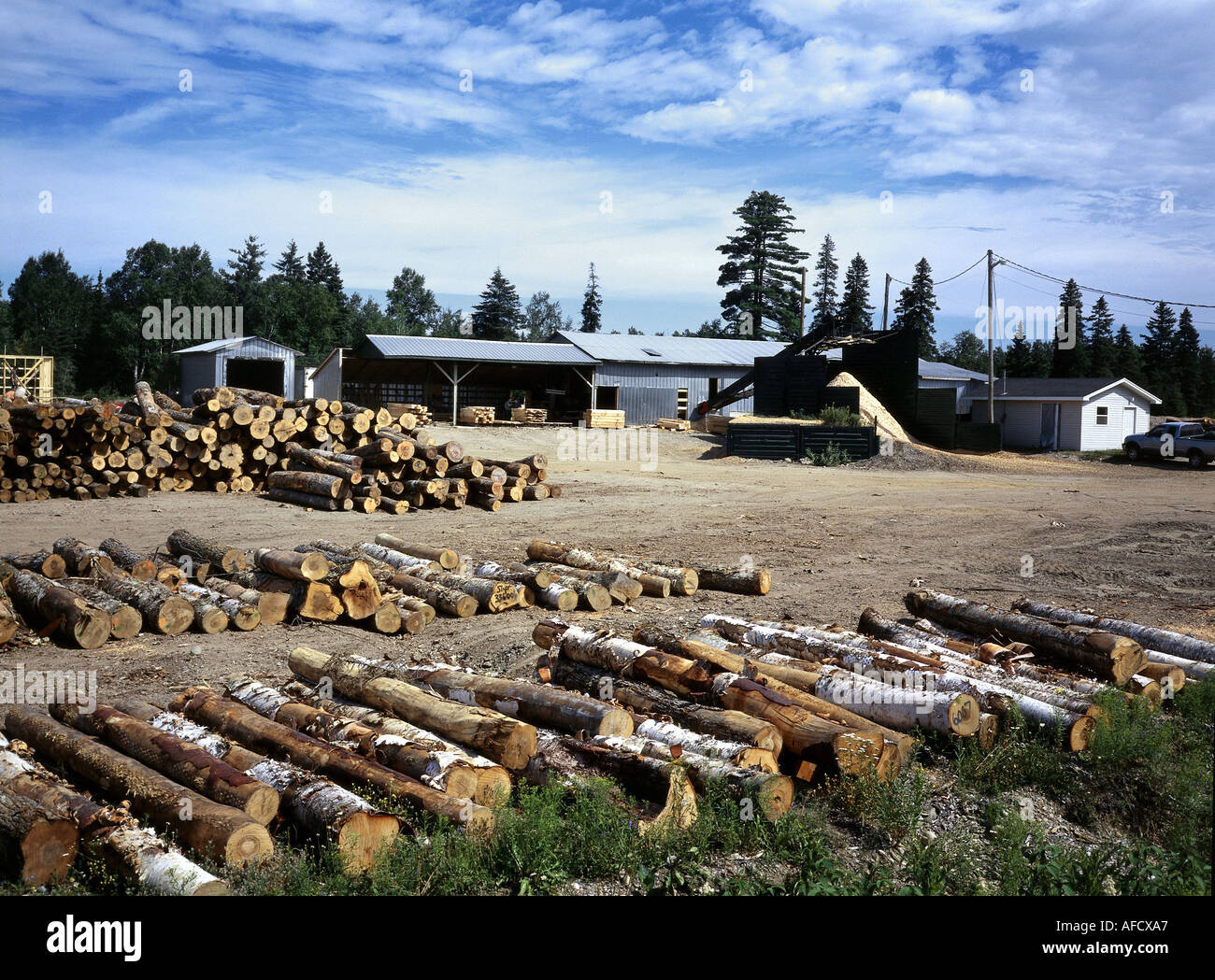 Wood Processing High Resolution Stock Photography and Images Alamy